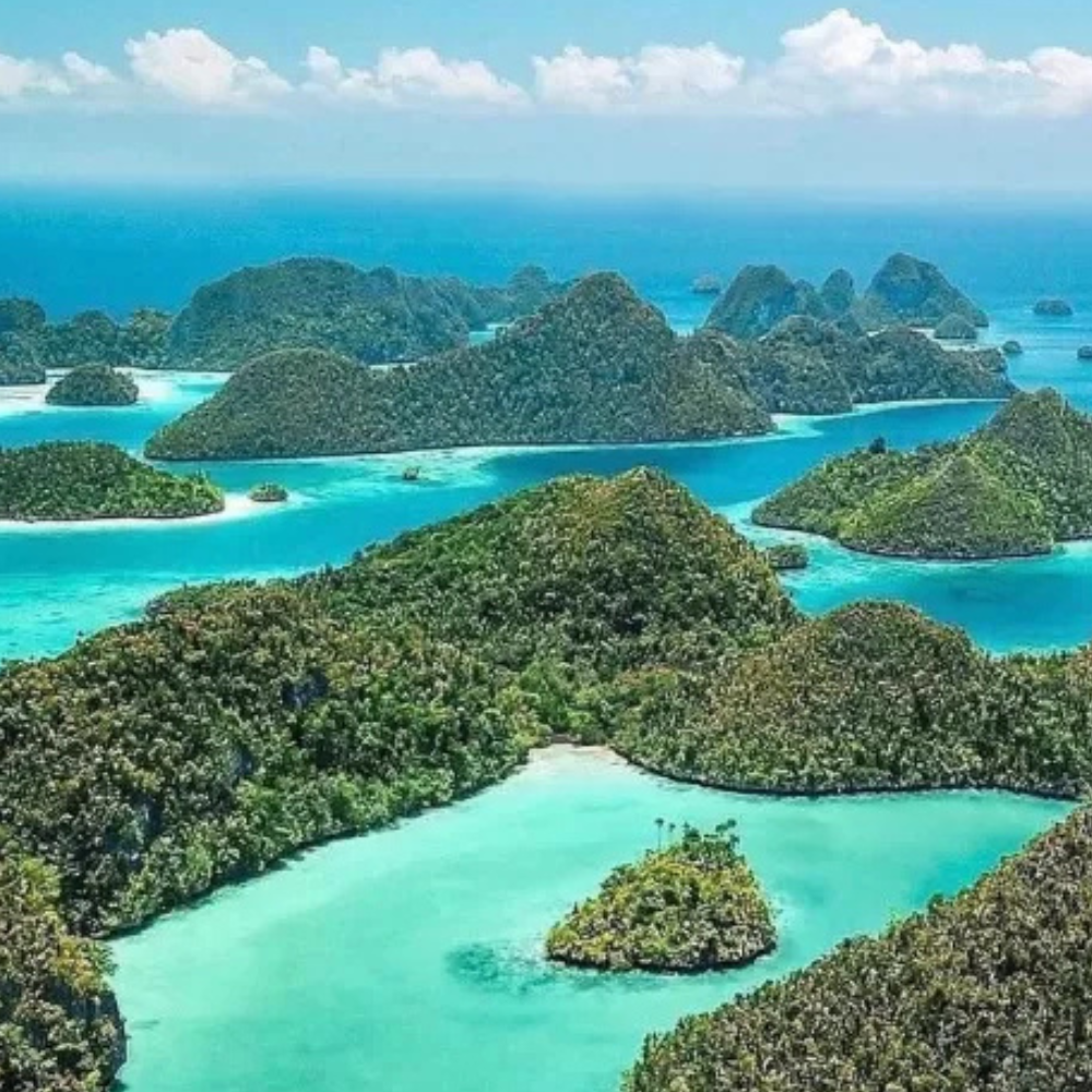 Laut Papua