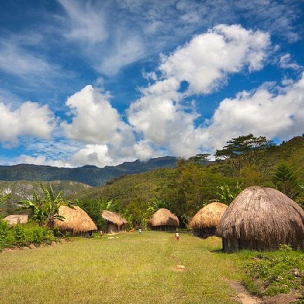 Desa Tradisional