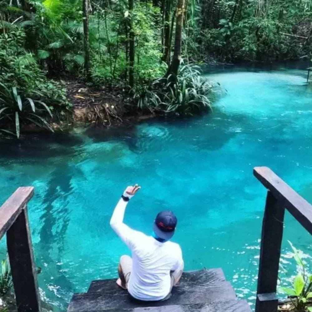 Pemandangan Hutan Papua