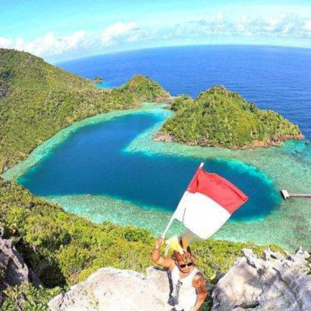 Pemandangan Hutan Papua
